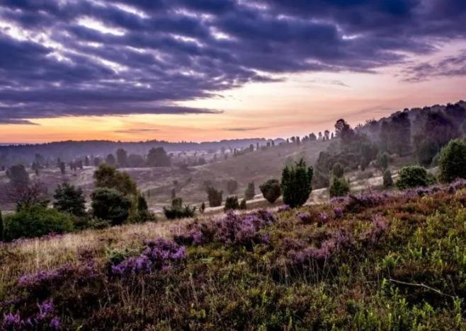 Ruhepol Fuer Mensch & Tier In Der Lueneburger Heide Apartman Vierhofen Kültér fotó