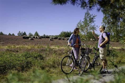 Ruhepol Fuer Mensch & Tier In Der Lueneburger Heide Apartman Vierhofen Kültér fotó